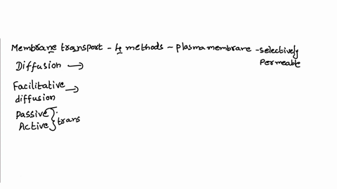 the-type-of-membrane-transport-that-uses-hydrolysis-of-atp-as-the-energy-source-is-none-of-these-simple-diffusion-facilitated-diffusion-passive-transport-active-transport-95769