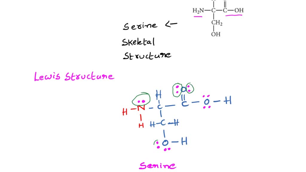 lewis structure of serine