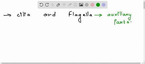 what-are-cilia-and-flagella-write-one-similarity-and-one-dissimilarity-between-the-two-of-them-34329