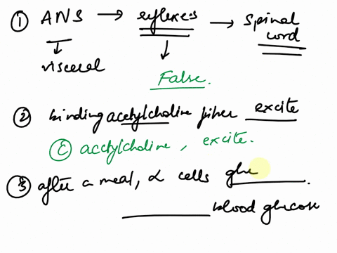 please-help-asap-ty-so-much-52the-autonom-true-false-nic-nervous-system-carries-out-many-somatic-reflexes-that-are-crucial-to-homeostasis-apostcentral-gyrus-in-the-left-parietallobe-bpostcen-56344