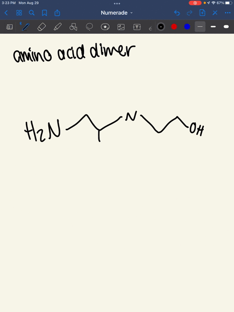 draw-the-basic-structure-of-an-amino-acid-dimer-two-amino-acids-bound-together-label-an-amine-carboxyl-side-chainand-peptide-bond-66214