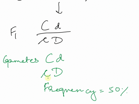 please-help-me-to-answer-all-parts-of-this-question-it-is-a-doozy-and-i-am-struggling-please-make-actual-answers-clear-and-work-shown-would-be-super-helpful-thank-you-2-consider-the-parental-56257