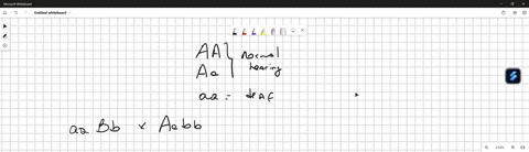 if-the-dominant-allele-a-is-necessary-for-hearing-in-humans-and-another-allele-b-located-on-a-differ-26882