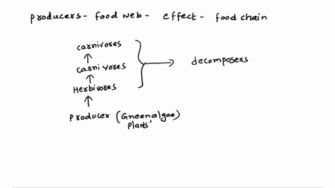 if-we-removed-the-producers-from-this-food-web-how-would-it-affect-the-balance-of-the-ecosystem-there-would-be-an-increase-in-consumers-and-decomposers-there-would-be-a-decrease-in-consumers-02901