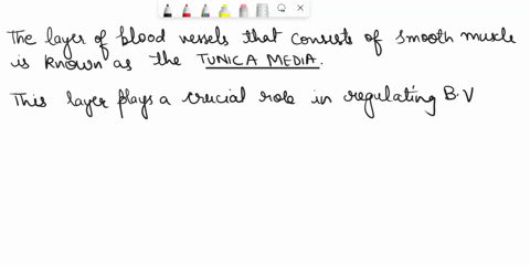 which-laycr-of-the-blood-vcsscis-ccmpriscd-of-smooth-muscle-anc-plays-role-vasoconstriction-anc-vasocilation-sclcc-onc-tunica-intima-tunica-media-tunica-externa-turica-acventitia-82402