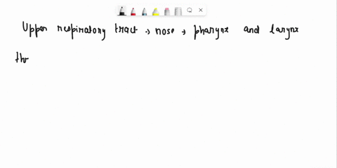 of-the-upper-respiratory-tract-except-the-following-are-part-throat-nosc-lungs-pharynx-00543