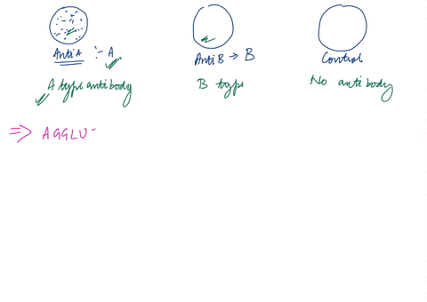 proteins-expressed-on-your-red-blood-cells-define-your-blood-type-a-b-ab-and-0-note-0-blood-type-is-the-absence-of-these-proteins-these-proteins-are-considered-antigens-when-red-blood-cells-31544