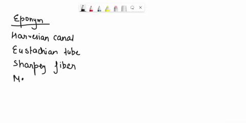latingreekor-english-roots-place-each-structural-name-in-the-proper-category-in-order-to-indicate-whether-the-name-is-an-eponym-or-accepted-term-based-on-haversian-canal-eustachian-tube-inte-89197