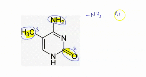 name-the-3-circled-functional-groups-on-this-molecule-nh2-h3c-43396