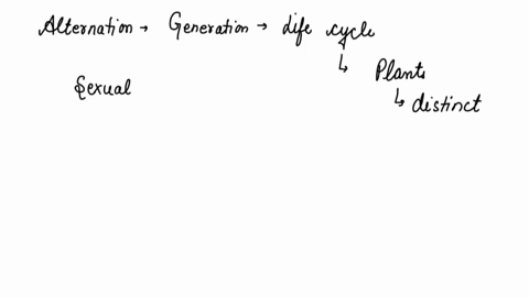 meiosis-is-responsible-for-which-stage-in-the-alternation-of-generations-a-gametophyte-to-sperm-b-egg-to-zygote-c-sporophyte-to-spore-d-zygote-to-mature-sporophyte-e-spore-to-mature-gametoph-55169