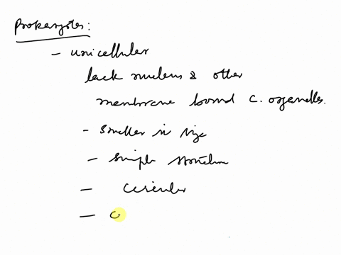 write-prokaryotic-cells-8-8-pjon-dhef-feoturet-apa-essay-andyuhotioing-the-difference-between-eukaryotic-and-22141