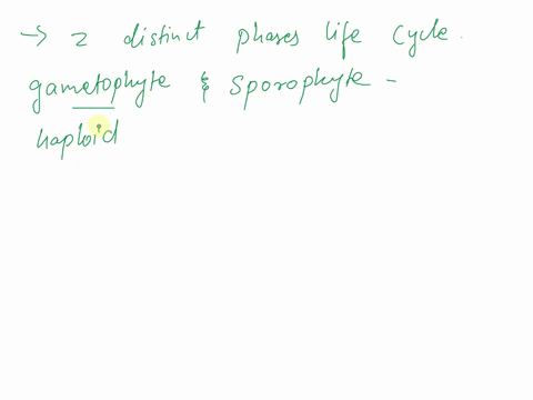 plants-undergo-an-alternation-of-generations-the-_______produces-gametes-that-fuse-to-produce-a-new-______-sporophyte-gametophyte-gametophyte-sporophyte-gametophyte-flowers-flowers-gametophy-49642