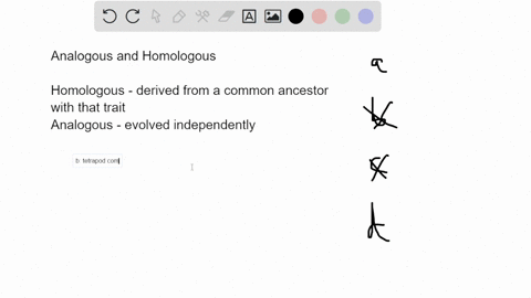 which-of-the-following-pairs-of-structures-would-be-considered-analogous-but-not-homologous-beetle-legs-and-cat-legs-human-arms-and-bear-front-legs-eagle-eyes-and-alllgator-eyes-bird-wings-a-55363