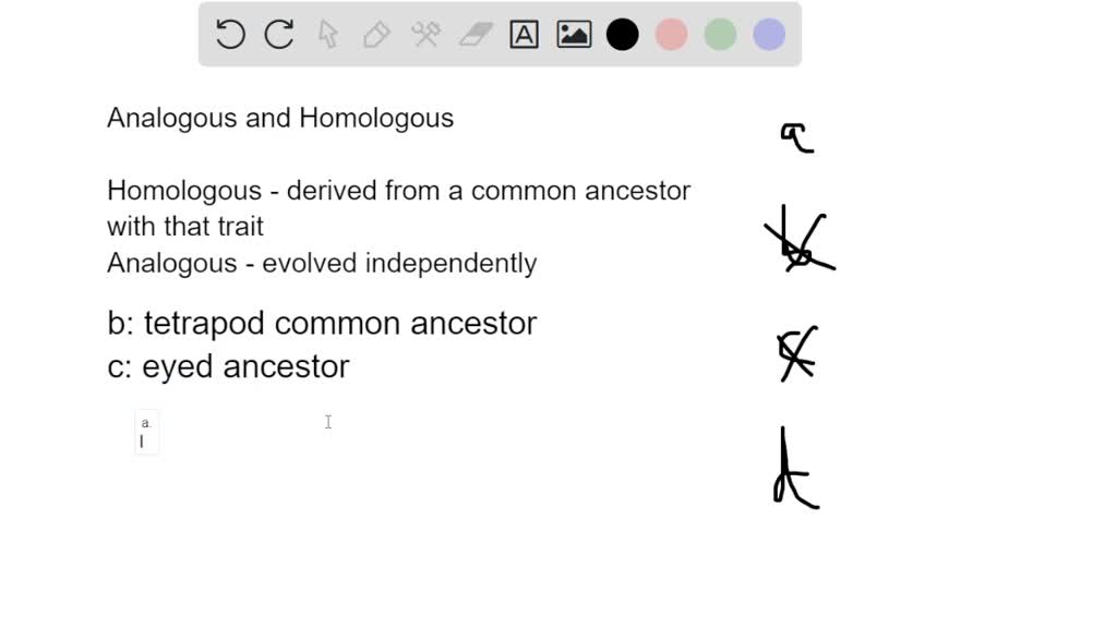 Which Of The Following Would Be Considered Analogous Structures SOLVED: Which of the following pairs of structures would be considered