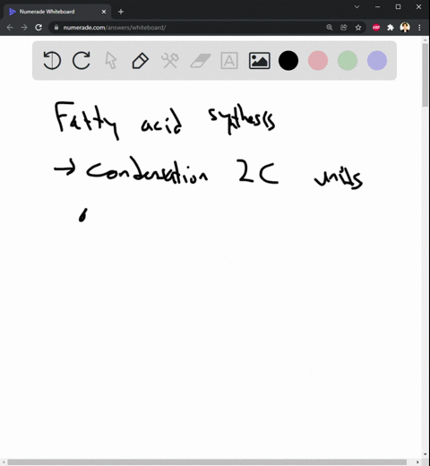 what-is-the-difference-between-fatty-acid-synthesis-and-fatty-acid-degradation-72446