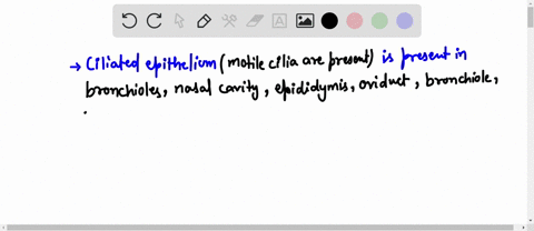 choose-all-sites-where-cells-with-motile-cilia-kinocilia-line-a-lumen-partial-credit-is-allowed-oa-bronchus-nasal-cavity-c-epididymis-d-ileum-oviduct-bronchiole-g-alveolus-a-alveolar-duct-du-43286