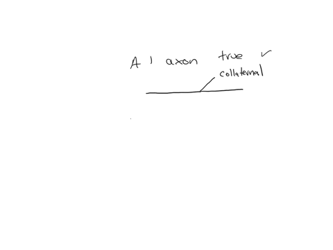 neurons-a-have-only-one-axon-b-have-several-axons-with-separate-terminal-buttons-c-have-the-same-number-of-dendrites-d-are-of-similar-size-to-one-another