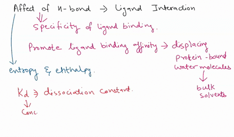 how-do-hydrogen-bonds-impact-kd-and-ka-values-of-ligand-interactions-20537