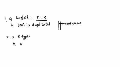 bio-3-lab-quiz-7-mitosis-meiosis-name-qquad-fig-1-for-question-1-2-1-a-is-the-cell-presented-in-the-figure-haploid-or-diploid-b-is-the-dna-duplicated-or-unduplicated-in-this-cell-2-a-how-many-differen