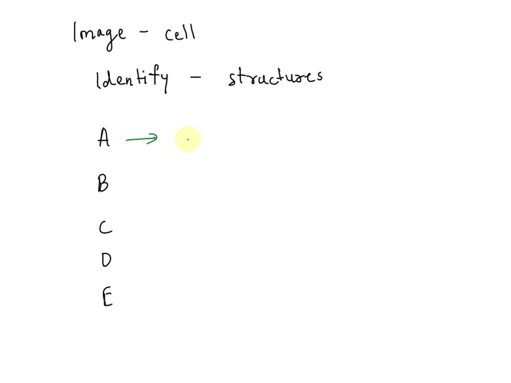 solved-which-of-the-following-html-structures-arranges-text-in