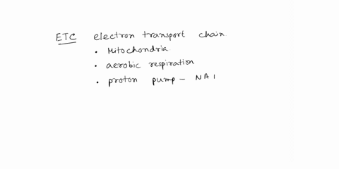 nadh-and-fadh2-are-both-electron-carriers-that-donate-their-electrons-to-the-electron-transport-chain-the-electrons-ultimately-reduce-o2-to-water-in-the-final-step-of-electron-transport-howe-29312