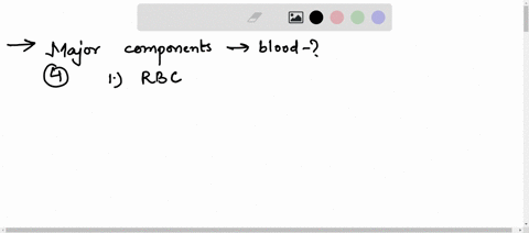 blood-objectives-study-guide-ceccudc-te-major-components-of-blood-2-describe-the-basic-functions-of-blood-3-describe-the-overall-composition-of-plasma-functions-and-where-in-the-body-they-ar-18268