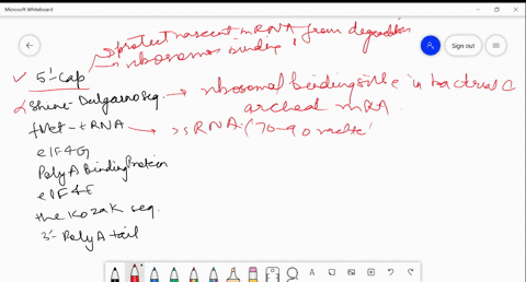 select-all-of-the-factors-in-the-list-below-that-play-role-in-the-translation-initiation-of-eukaryotic-cells-5cap-the-shine-dalgarno-sequence-fmet-trna-eif4g-polya-binding-protein-pabpe-eif4-55594