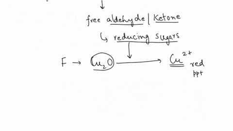 explain-the-principles-involved-in-each-test-for-carbohydrates-which-biochemical-test-can-beused-t0-distinguish-reducing-sugars-and-non-reducing-sugars-which-biochemical-test-can-used-distin-96814
