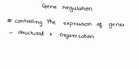 what-are-the-differences-between-gene-regulation-in-prokaryotes-vs-eukaryotes-25315