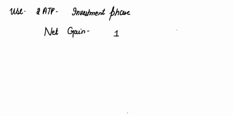 what-region-of-the-spinal-cord-contains-motor-neurons-that-direct-the-movement-of-skeletal-muscles-a-anterior-horn-b-posterior-horn-c-lateral-horn-d-alar-plate-89636