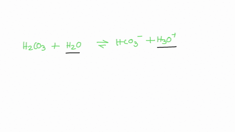 in-the-reaction-h2co3-h2o-hco3-h3o-the-bronsted-bases-are-select-one-a-h2co3-and-h2o-b-h3o-and-h2co3-c-h2o-and-h3o-d-hco3-and-h2co3-e-h2o-and-hco3-61897