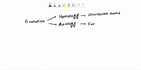 which-pair-is-mismatched-a-homologycharacter-similarity-due-to-a-common-ancestor-b-molecular-datamat-12533