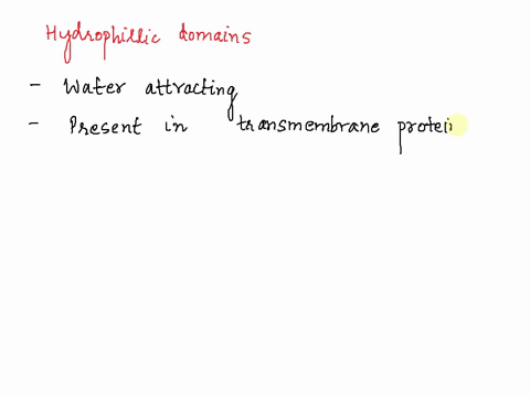 which-of-the-following-types-of-molecules-lack-hydrophilic-domains-a-transmembrane-proteins-b-integral-membrane-proteins-c-peripheral-membrane-proteins-d-cholesterol