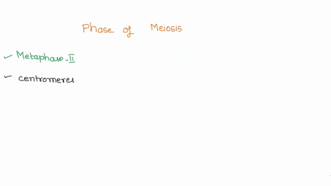 which-phase-of-meiosis-represented-the-picture-below-mv-97574