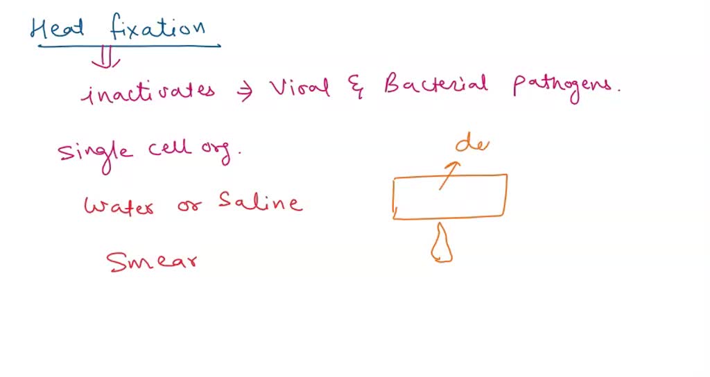 SOLVED What is the purpose of heat fixation? Inactivate