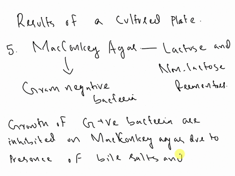 the-following-image-shows-growth-of-an-unknown-bacterium-on-macconkey-agar-which-of-these-bacteria-is-likely-growing-0n-this-plate-explain-how-you-arrived-at-your-answer-e-coli-neisseria-sta-80179
