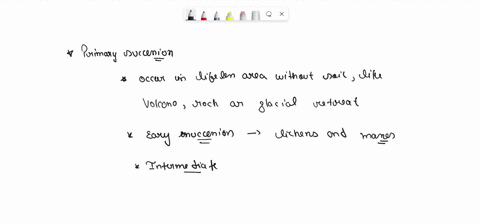 using-specific-examples-for-each-explain-the-differences-between-primary-and-secondary-succession-provide-examples-of-early-intermediate-and-late-successional-species-within-each-stage-63224