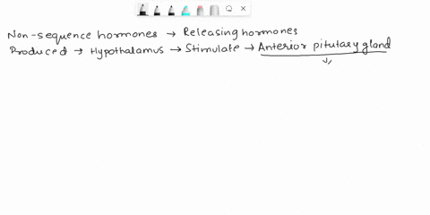 explain-the-role-of-nonsequence-hormones-on-the-hypothalamus-and-anterior-pituitary-gland-64886