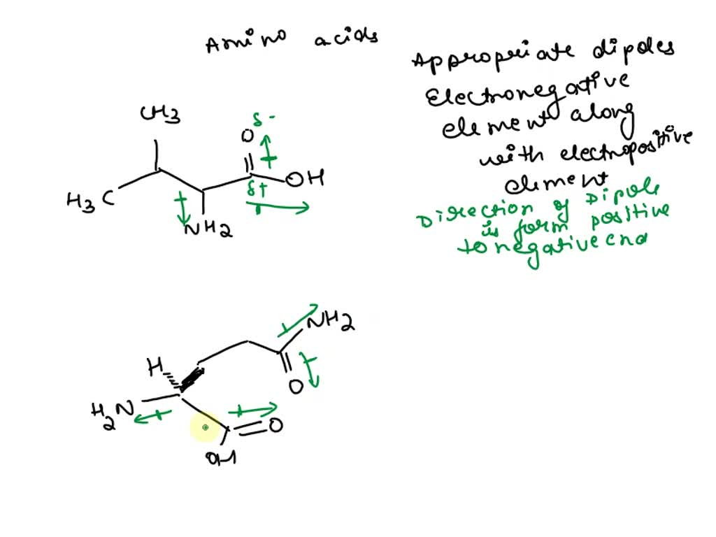 SOLVED Using the two amino acids below Draw in the appropriate