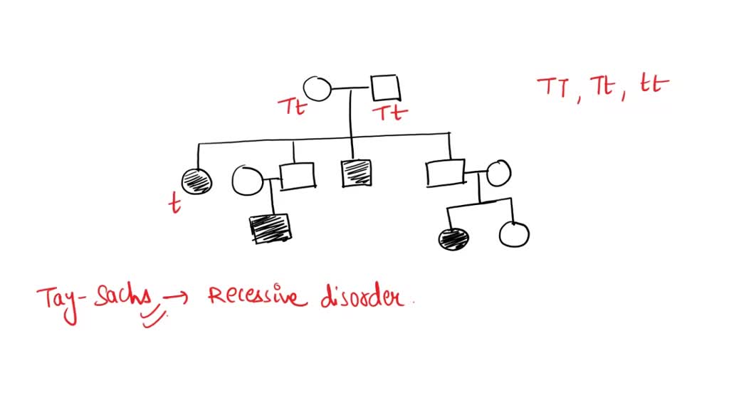 SOLVED: The following pedigree illustrates the inheritance of Tay-Sachs