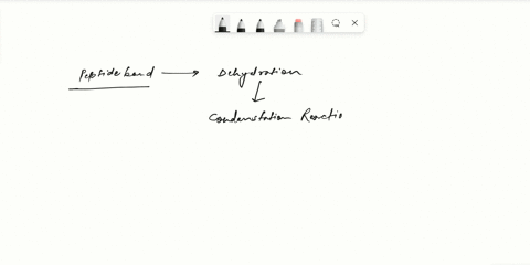 ithe-peptide-bond-is-formed-as-a-result-of-the-reaction-of-amino-acids-which-are-the-key-structures-that-make-up-proteins_-the-figure-shows-the-formation-of-the-peptide-bond-between-the-amin-22149