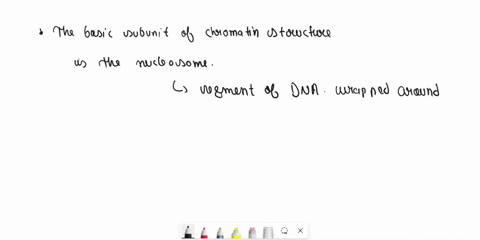 the-basic-subunit-of-chromatin-structure-nucleosome-histone-dna-histone-proteins-61997