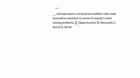 ___-entrepreneurs-are-business-builders-who-seek-innovative-solutions-to-some-of-societys-most-vexing-problems-a-opportunistic-b-necessity-c-social-d-serial