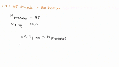 question-3-you-are-studying-the-predator-prey-relationship-between-lizards-predator-and-beetles-prey_-the-intrinsic-growth-rate-of-beetles-in-the-absence-of-lizards-r-is-02-per-week-and-the-42017