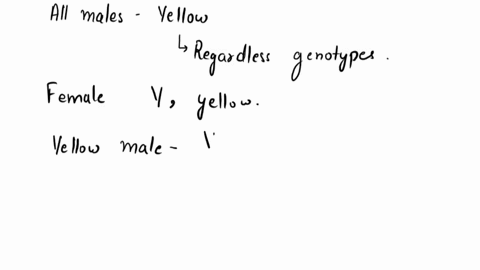in-clover-butterflies-all-males-are-yellow-regardless-of-genotype-females-on-the-other-hand-may-be-either-white-y-or-yellow-yy-depending-on-genotype-if-male-butterflies-of-genotype-yy-are-cr-81093
