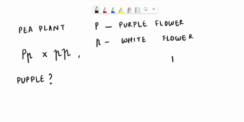 easy-question-lots-of-points-in-pea-plants-the-allele-for-purple-flowers-p-is-dominant-to-the-allele-for-white-flowers-p-a-plant-that-is-heterozygous-for-purple-flowers-is-crossed-with-a-pla-32954