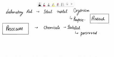 the-environmental-protection-agency-epa-defines-endocrine-disruptors-as-chemical-substances-that-can-00986