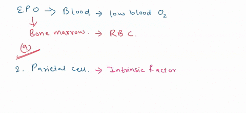 1-an-obstruction-in-blood-flow-to-the-kidneys-would-result-in-a-increased-erythropoiesis-b-reduced-release-of-renin-from-the-juxtaglomerular-cells-c-pernicious-anemia-d-increased-glucose-cle-51095