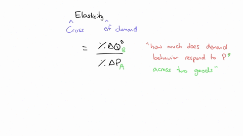 explain-the-concept-of-cross-elasticity-of-demand-and-describe-the-main-function-of-this-concept