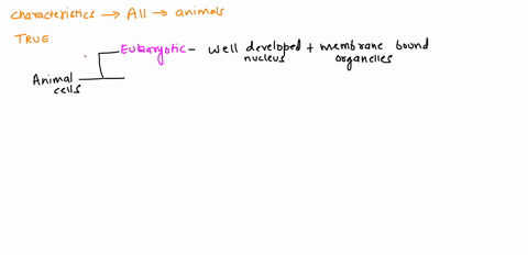 which-of-the-following-characteristics-are-shared-by-all-animals-check-all-that-apply-prokaryotic-unicellular-lack-a-cell-wall-eukaryotic-able-to-move-by-themselves-at-some-point-multicellul-25706